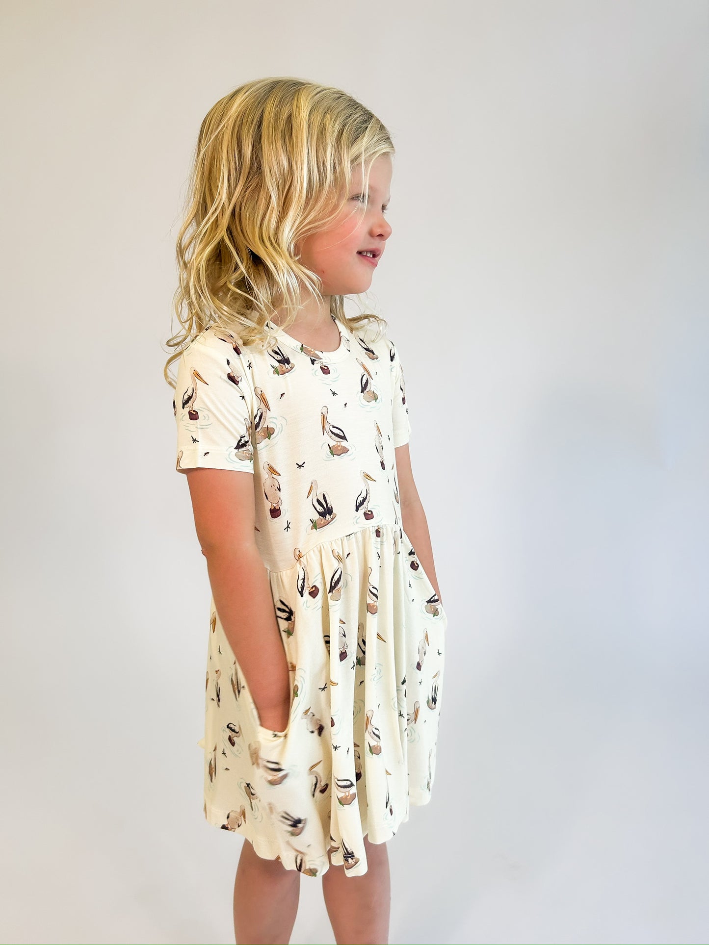 SS Pocket Dress - Pelicans