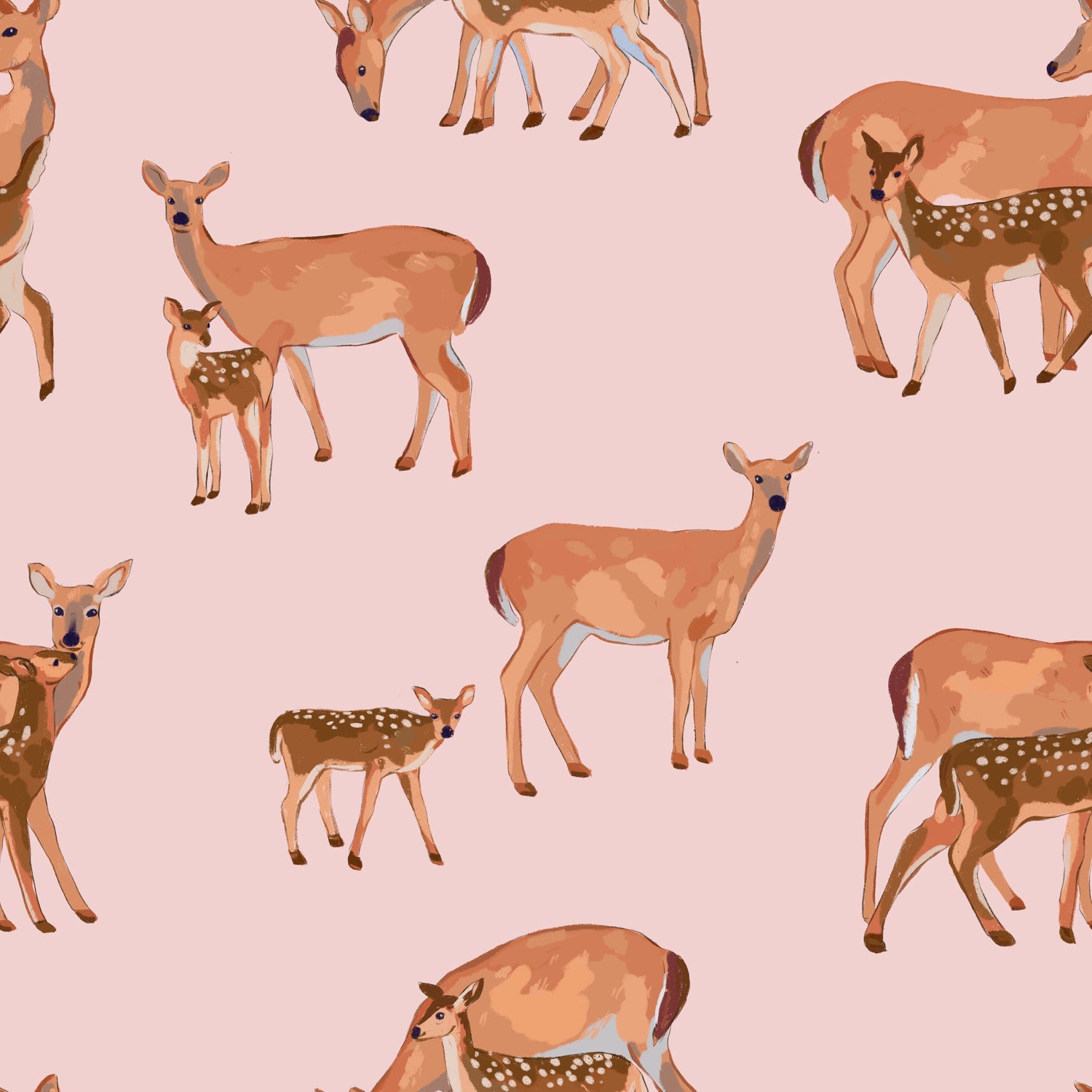 Does & Fawns