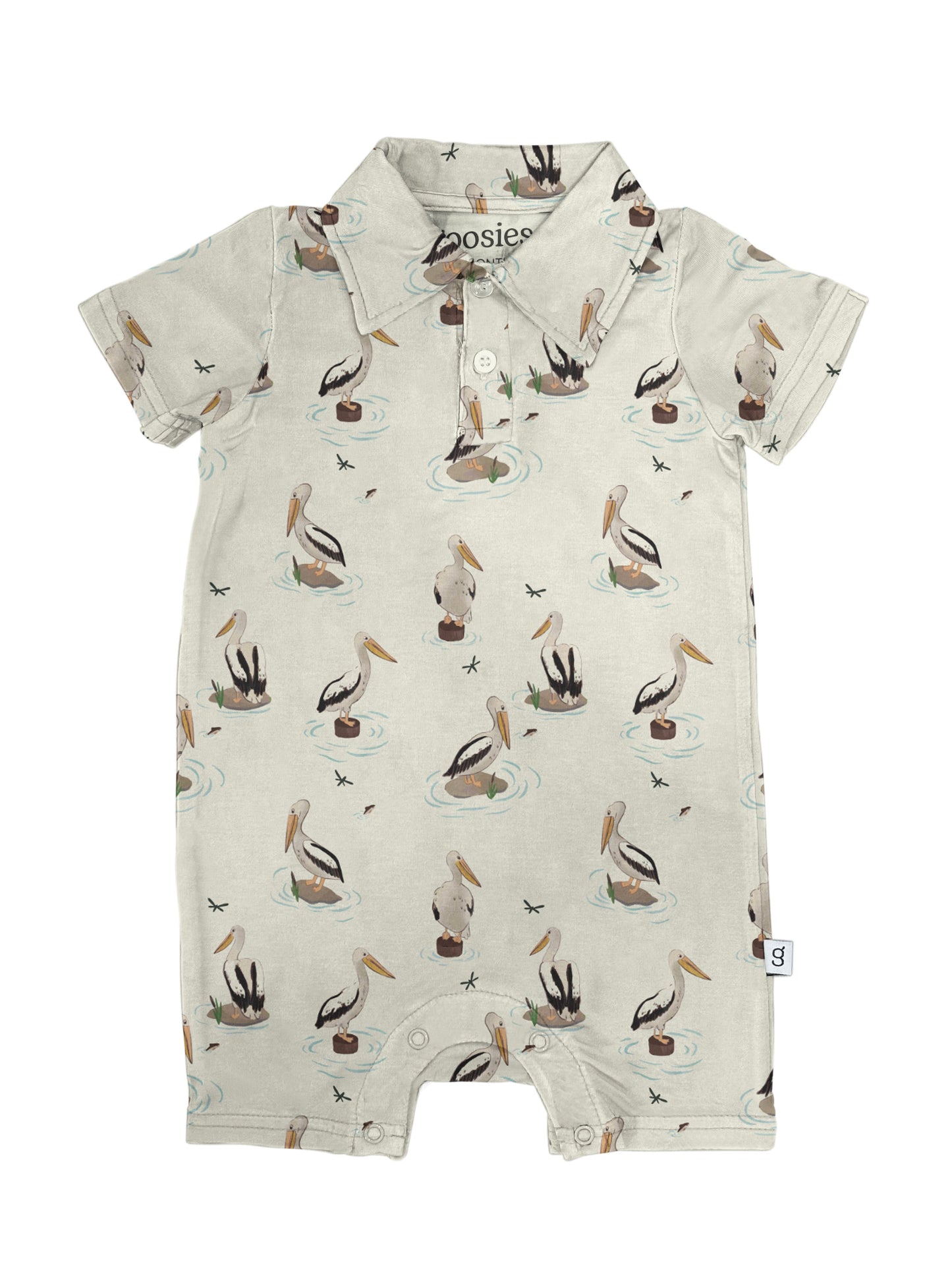 Polo Shortall - Pelicans